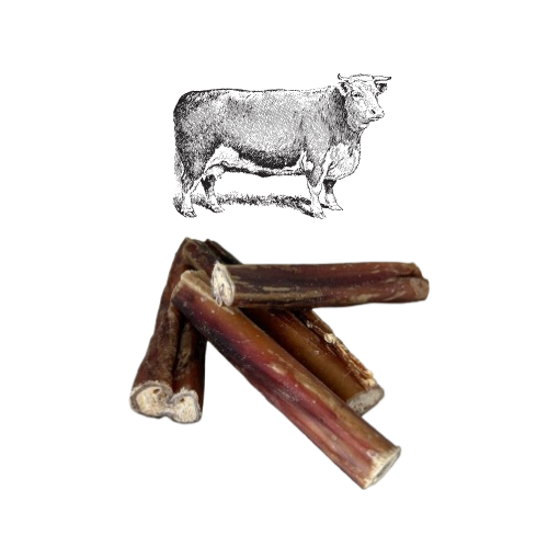Nerf de Bœuf 100% Naturel - 12cm - France x1