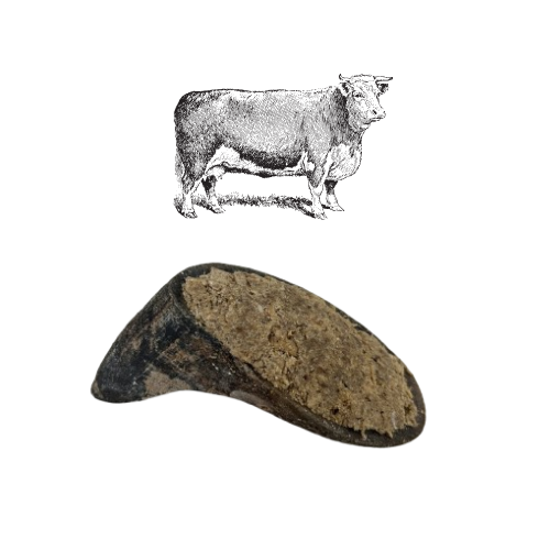 Sabot de Bœuf Fourré 100% Naturel