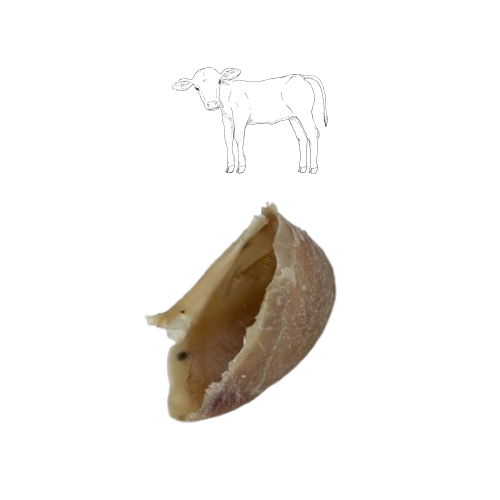 Sabot de veau 100% Naturel