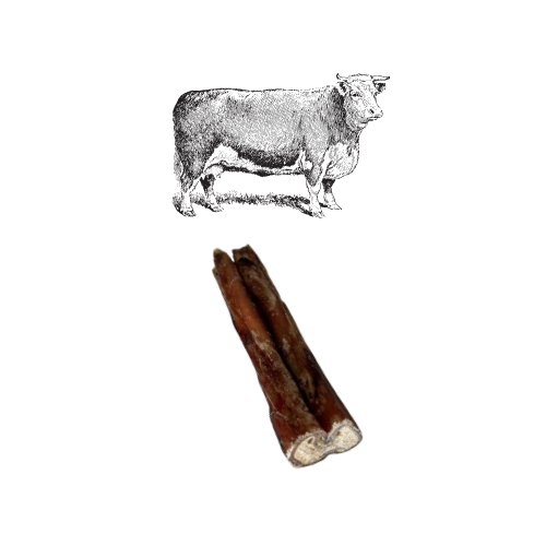 Nerf de Bœuf 100% Naturel - 12cm - Qualité A