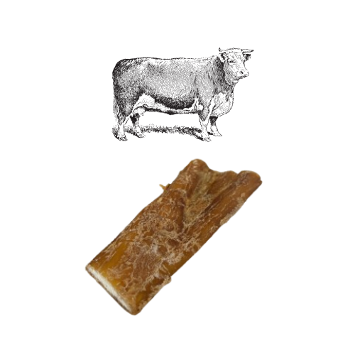 Tendon de Bœuf - 100% Naturel - 100g