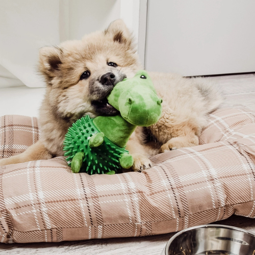 Jouet Dinosaure avec picots