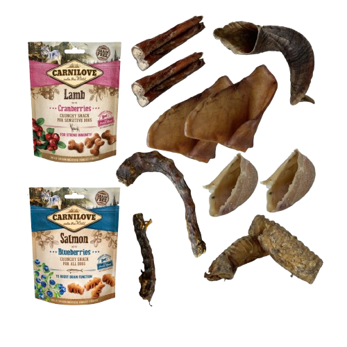 Box Mastications et Friandises de récompense (Agneau et Saumon)