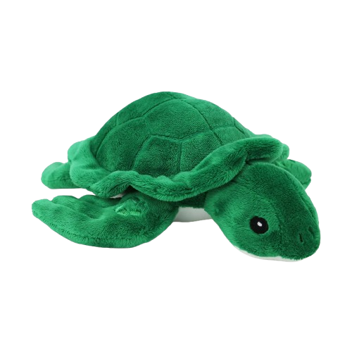 Peluche Tortue