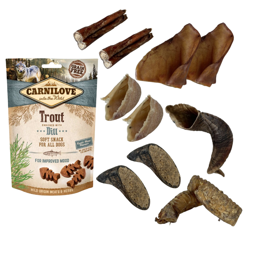 Box Découverte Friandises & Mastications 100% Naturelles