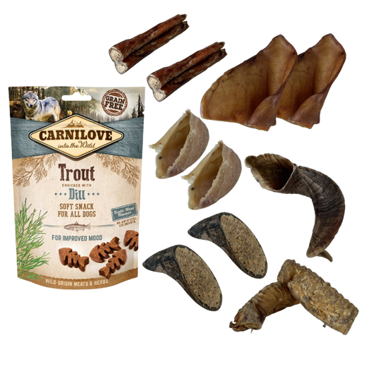 Box Découverte Friandises & Mastications 100% Naturelles