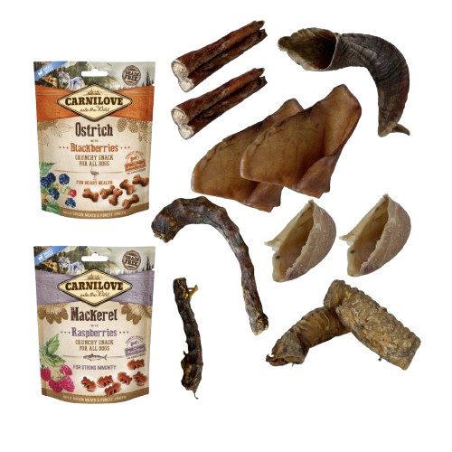 Box Mastications et Friandises de récompense (Autruche et Maquereau)